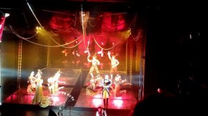 Белый шиповник