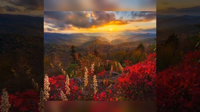 ?Релакс 5 минут для медитации,йоги,сна смотреть онлайн