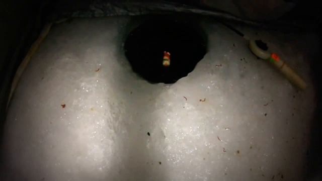 Коромысло на Леща и тест его смотреть онлайн