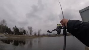 Щука и судак ранней весной. Как и на что ловить щуку и судака весной в заливах рек. Трофейный судак