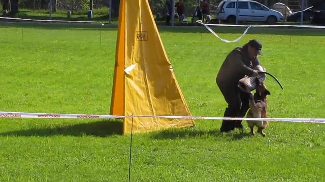 «выражено / не отпускает» - 176. Эвил Форкас Миля (фактор) смотреть онлайн