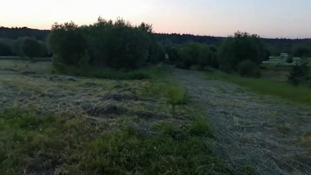 Ворошение сена конными граблями смотреть онлайн