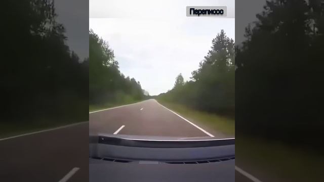 Подборочка для поднятия настроения смотреть онлайн