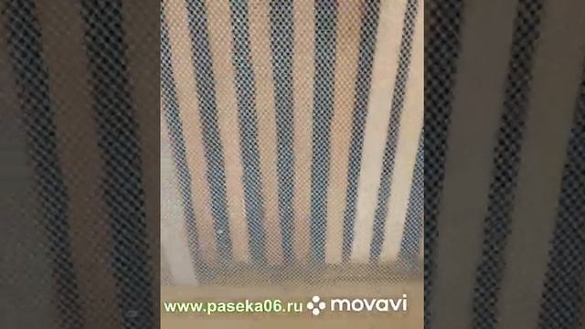 Борьба с клещем БЕЗ ХИМИИ Термообработка смотреть онлайн