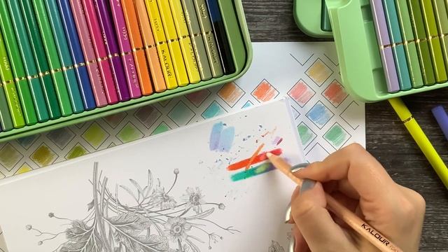 Kalour Macaron colored pencils - compared to Brutfuner Pastel set смотреть онлайн