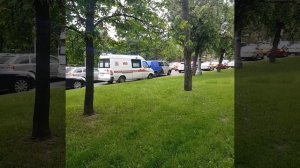 Звук сирены скорой помощи + сигналы в пробке