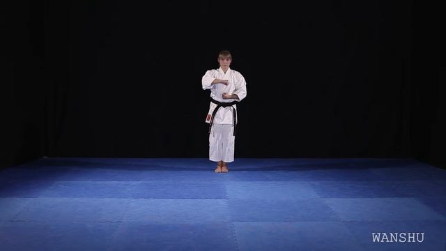 Shito Ryu Shukokai Wanshu смотреть онлайн