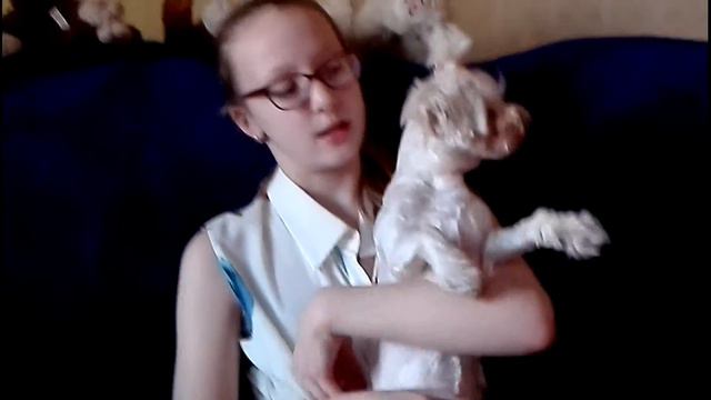 TAG:планы на др смотреть онлайн