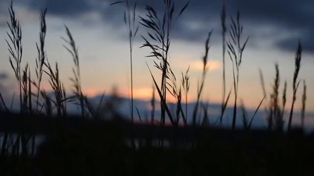 Рождённая во время звездопада поёт Марина Зорина.mp4 смотреть онлайн