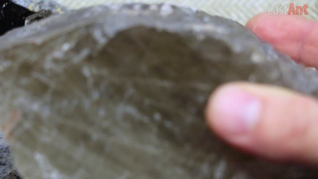 Прииски? по добыче драгоценных камней и драгметаллов декоративный камень смотреть онлайн