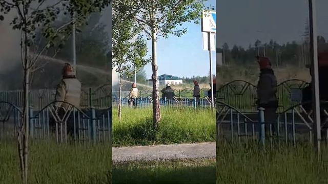 Сургутский район Федоровский смотреть онлайн