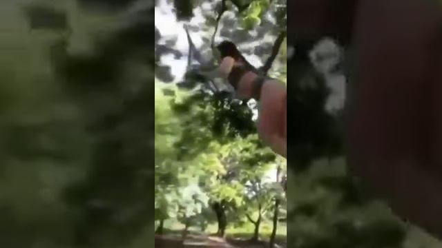 Видео,приколы,юмор,смех смотреть онлайн