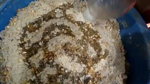 Откормочный комбикорм для бройлеров, рецепт для гранулятора.