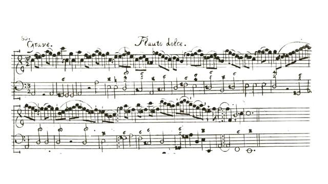 G.F. Telemann Largo from Der Getreue Musik-Meister - recorder and B.C. смотреть онлайн