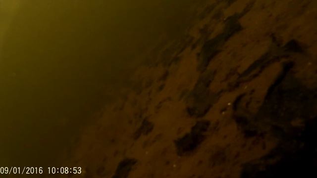 Проба экшен камеры sjcam sj4000 wifi на зимней рыбалке смотреть онлайн