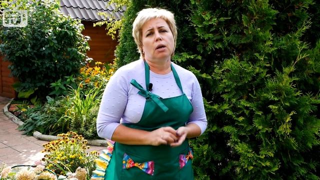 Луковичные растения в саду ? Полезные советы по выращиванию от HitsadTV смотреть онлайн