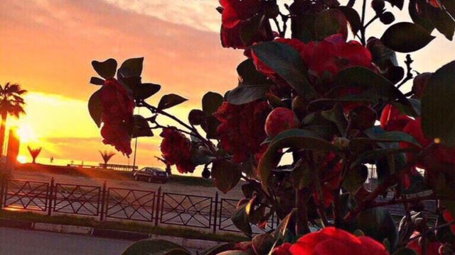 Ееейййт Ма Эшар ю 🔥🥰 Хаза Б1аргаш Хунда Доьлхурааа 2020 ❤