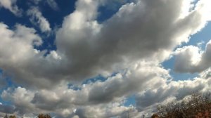 10 качеств женщины, которую не забыть