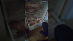 Обзор морозильной камеры indesit dsz 4150. 1