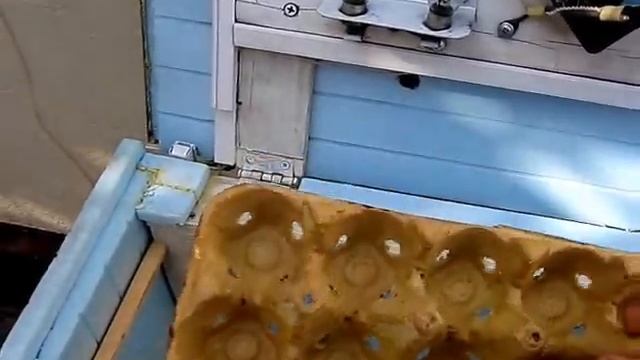ВЫ такого инкубатора еще не видели! смотреть онлайн