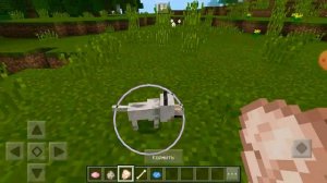 Как размножить Волка в игре Minecraft