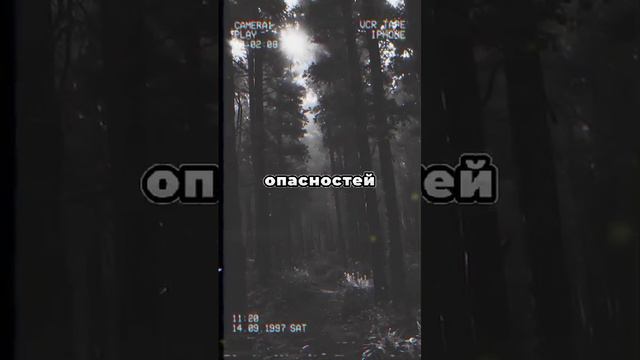 VID-20240501-WA0017.mp4 смотреть онлайн