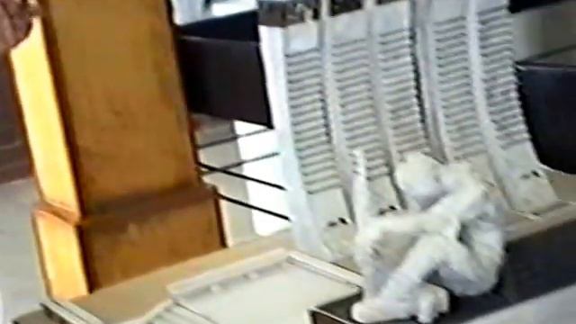 Видеохроника музея 