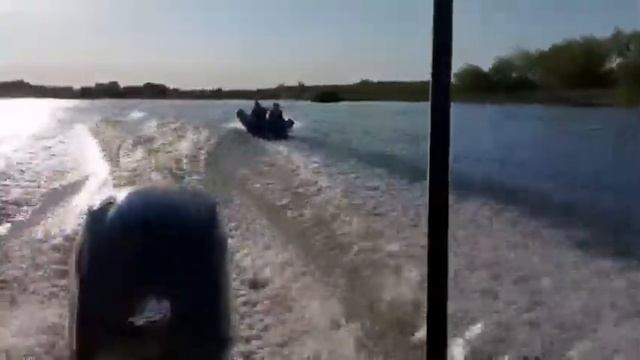 Река сож 2021