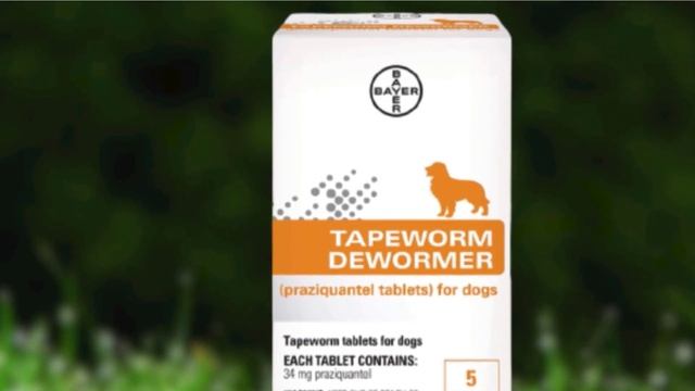 Dog Dewormer : Incredible Dog Dewormers In 2023 смотреть онлайн