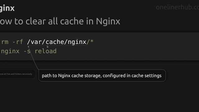 How to clear all cache in Nginx смотреть онлайн