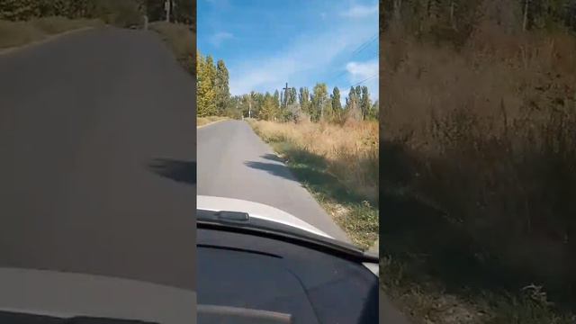 Съездили за город! И такого мы ещё не видели!!! Красотень!!! Не гоняйте! Берегите жизни людей! смотреть онлайн