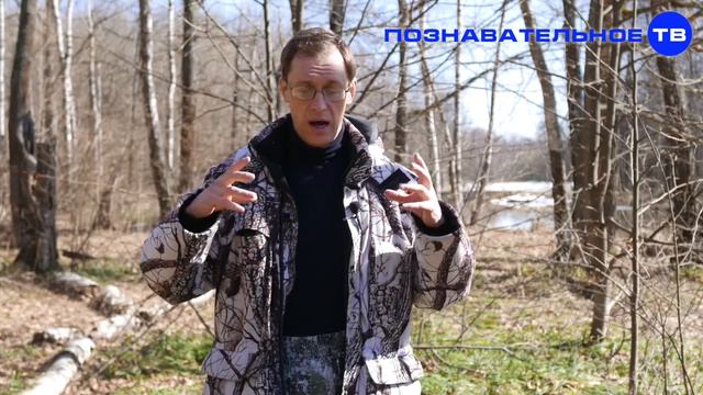 Что случилось с Познавательным ТВ и куда пропал Войтенков? смотреть онлайн