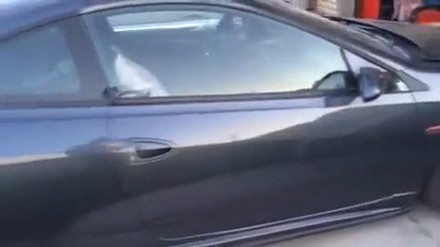 2000 Mercury Cougar Turbo 3.0l V6