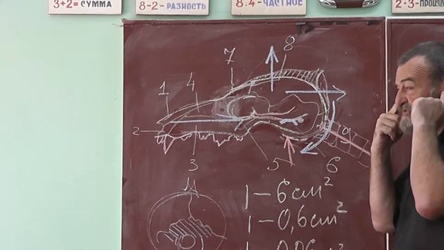 38 Череп и нижняя челюсть человека смотреть онлайн