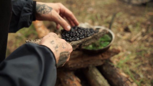 48 hours aged Guinea fowl CONFIT with Blueberries sauce смотреть онлайн