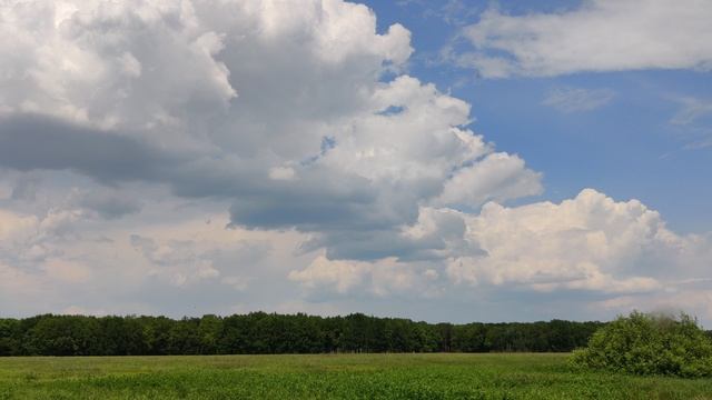 VID_20230610_130210 смотреть онлайн