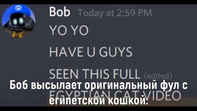 Боб высылает оригинальный фул с египетской кошкой: смотреть онлайн