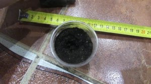 посадка перцев в стаканчики со 100% всхожестью