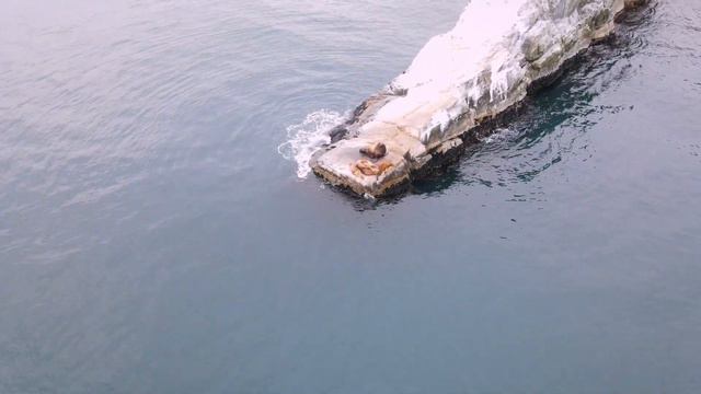 Тихий океан смотреть онлайн