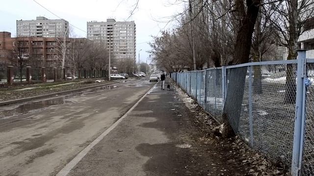Американский питбультерьер. Прогулка с питбулем. Послушание. Дрессировка. смотреть онлайн