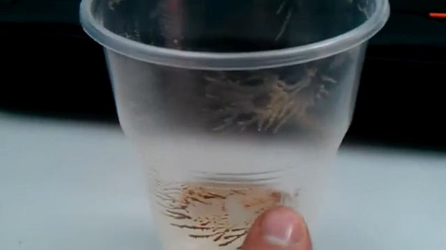 MacCofee 3в1интересно, из чего оно состоит?))) смотреть онлайн