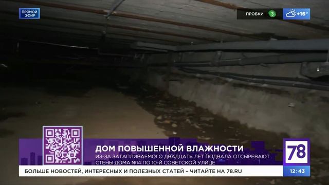 Сырые подвалы и мокрые стены в домах смотреть онлайн