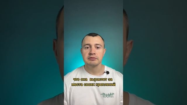 Руководство к Креативности