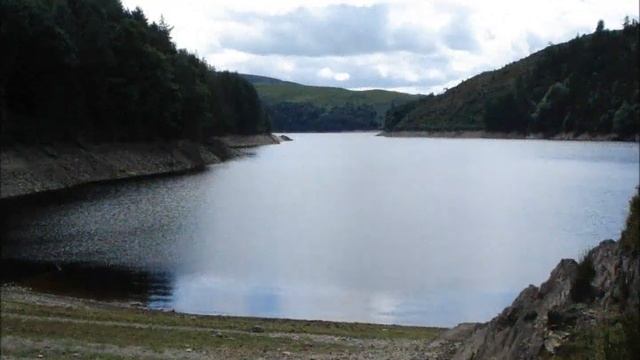 DEEP FOREST the second twilight смотреть онлайн