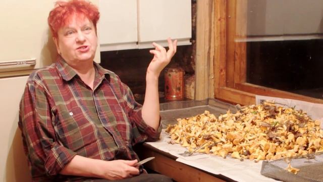 Как сушить лисички? Лучше всего до 41 градусов Цельсия. смотреть онлайн