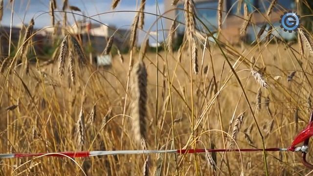 Sony Alpha 57 Sample Movie смотреть онлайн