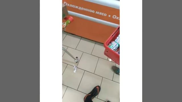 Ищем просрочку в Пятёрочке/Корзина полная просрочки смотреть онлайн