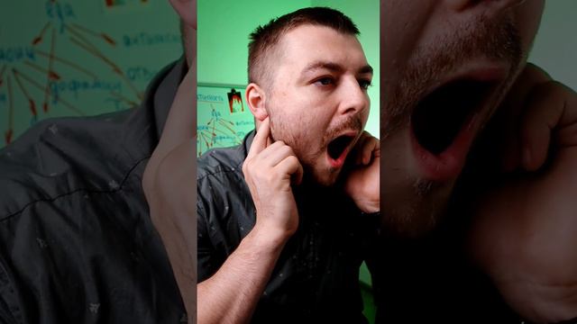 Щелкает челюсть или не открывается, собака смотреть онлайн