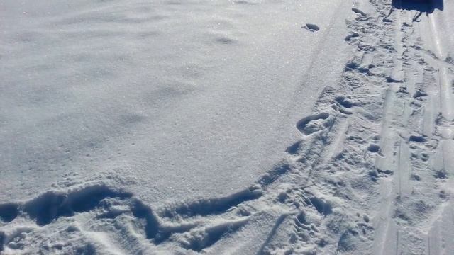 Рыбалка на р Тавде в марте! #1 смотреть онлайн