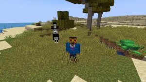 I Added Mickey Mouse to Minecraft